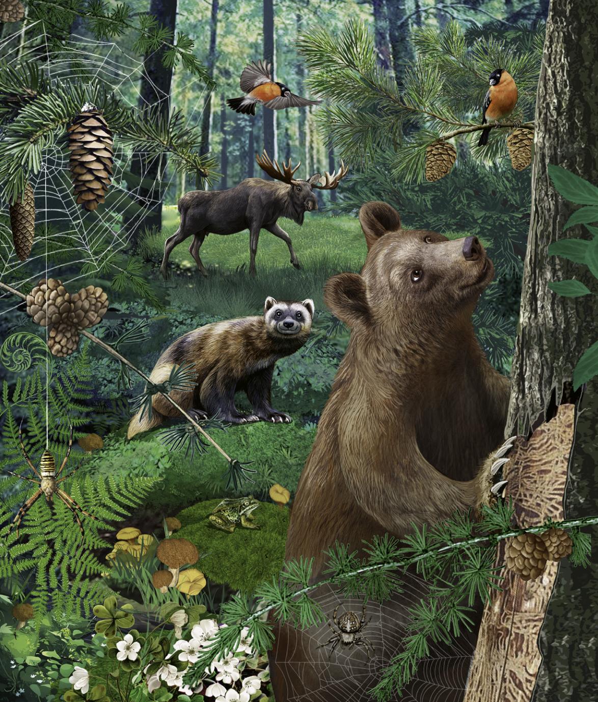 9783849945671_innenansicht_06 9783849945671_innenansicht_06.jpg