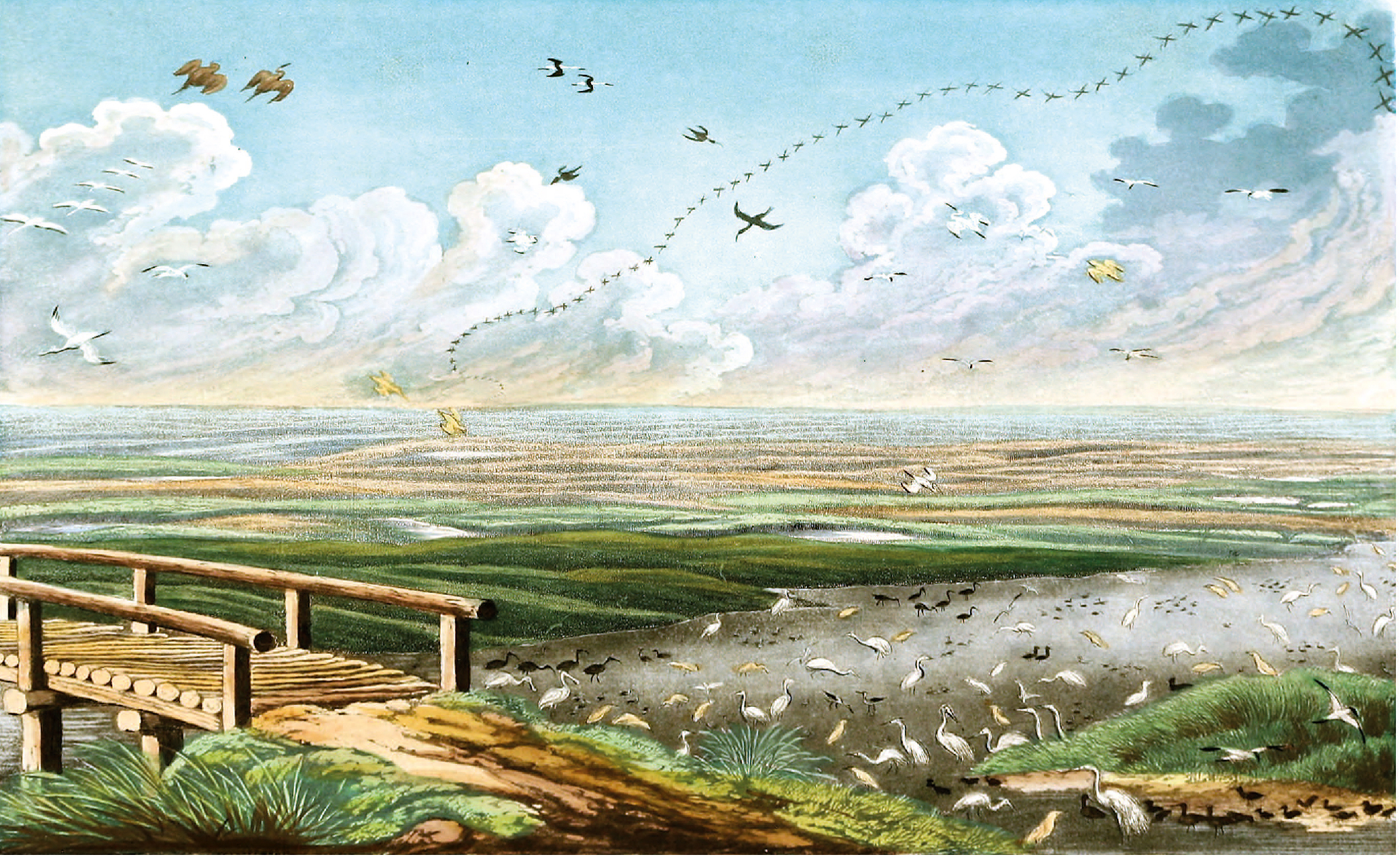 9783968492001_innenansicht_06 9783968492001_innenansicht_06.jpg