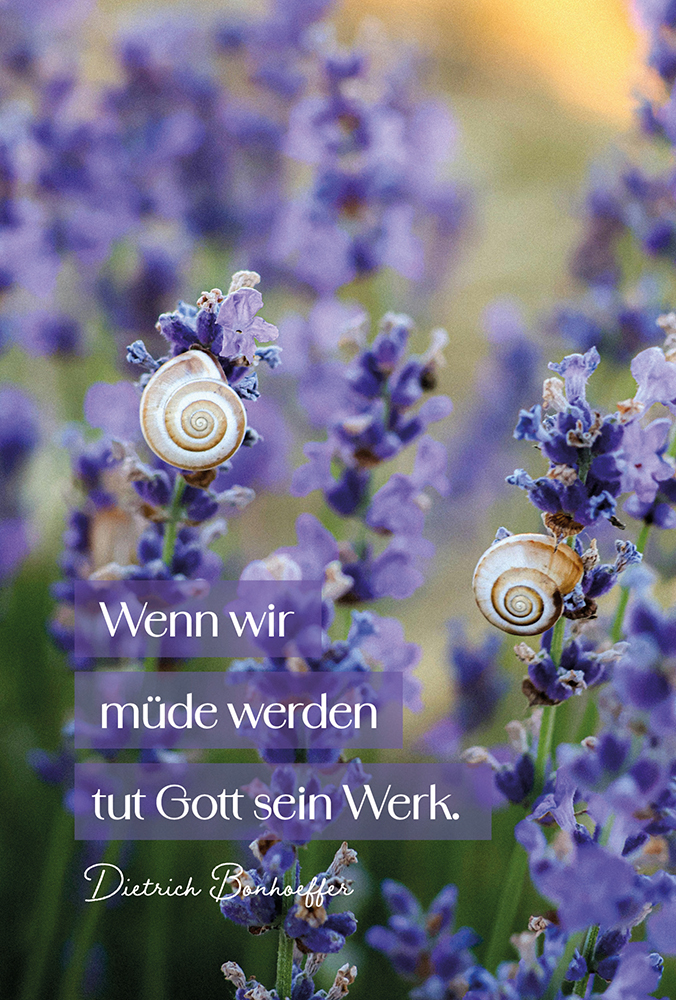 9783765533358_innenansicht_01.jpg