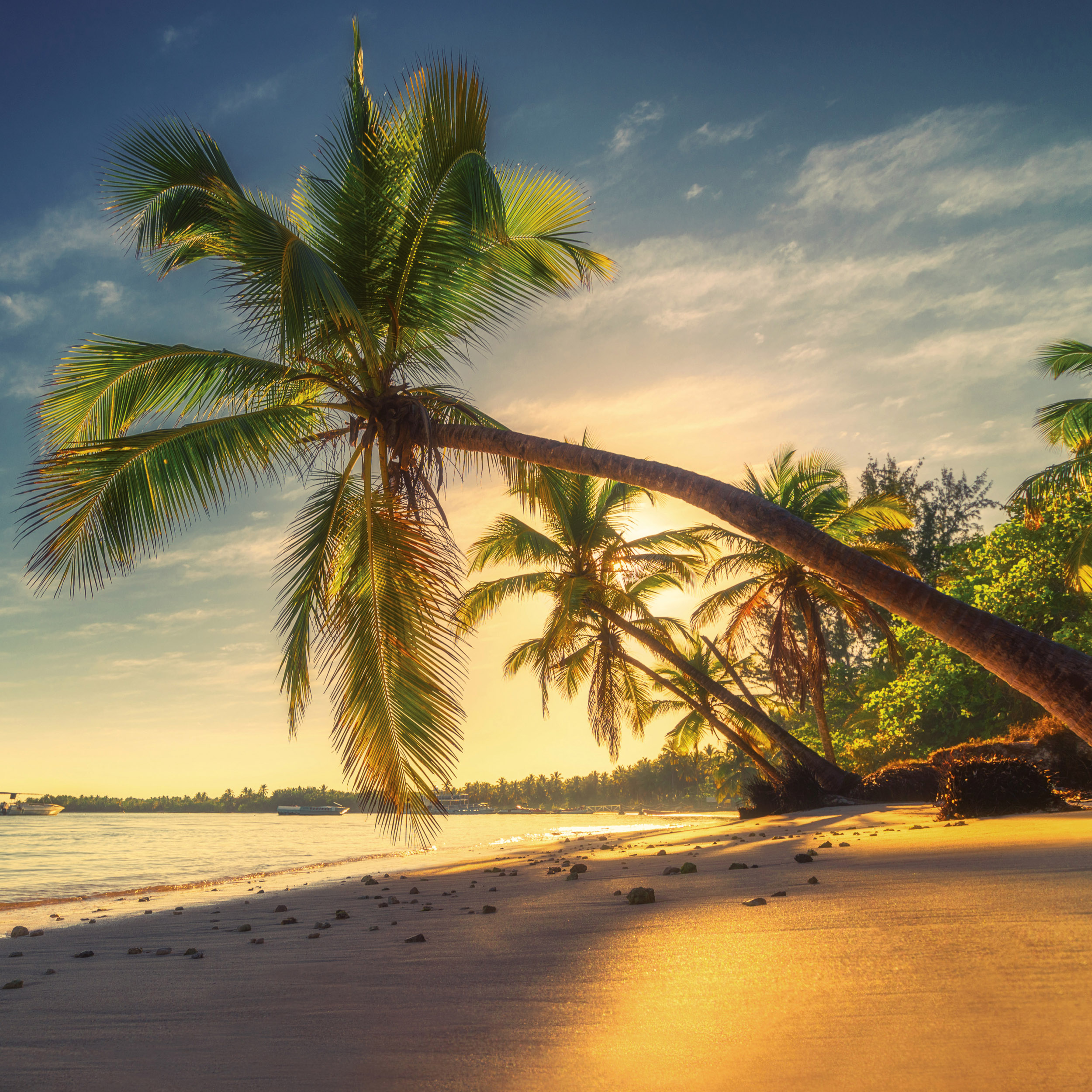 9783959295819_innenansicht_11 9783959295819_innenansicht_11.jpg