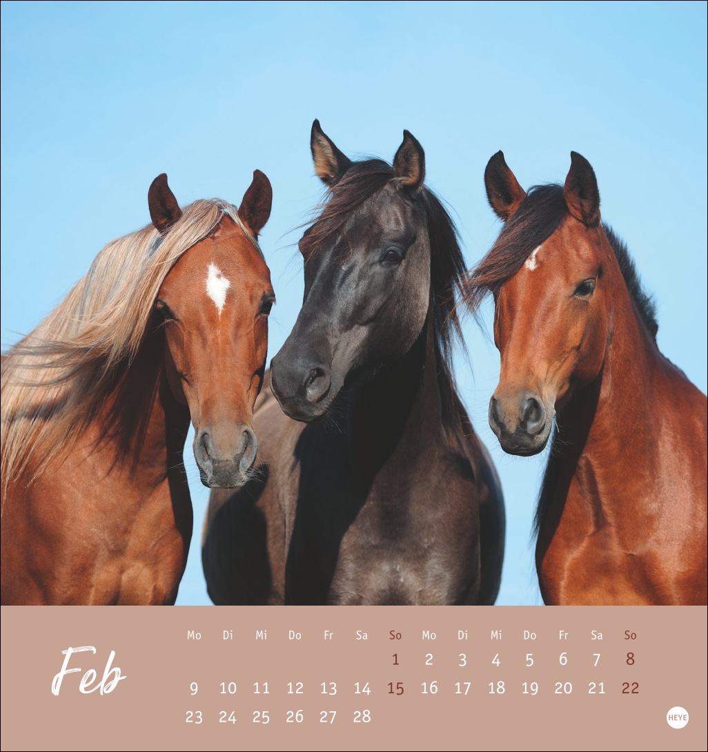 9783756410477_innenansicht_02 9783756410477_innenansicht_02.jpg