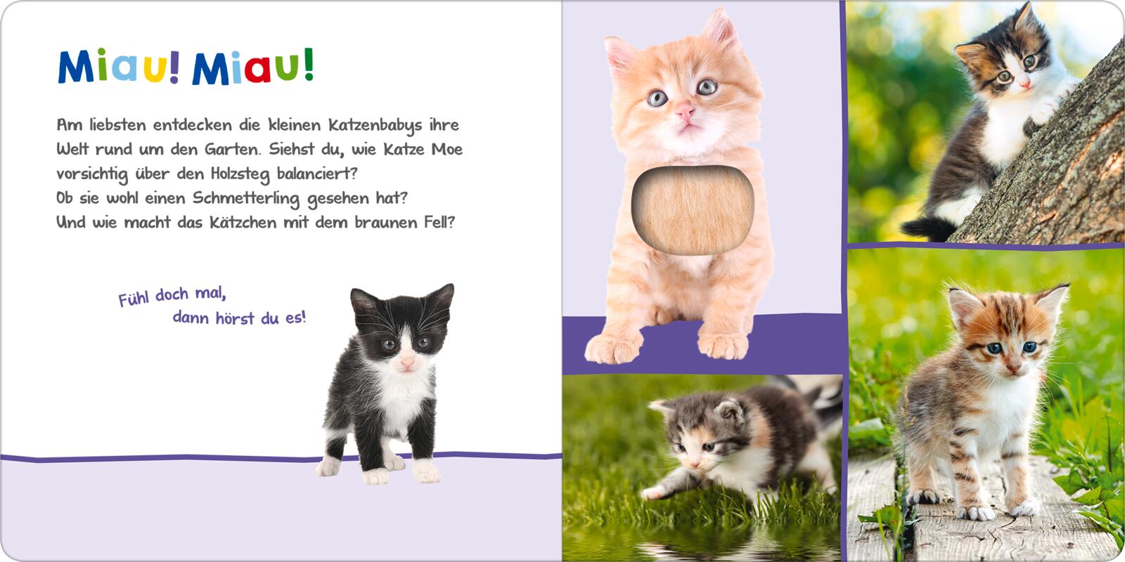 9783845851082_innenansicht_02.jpg
