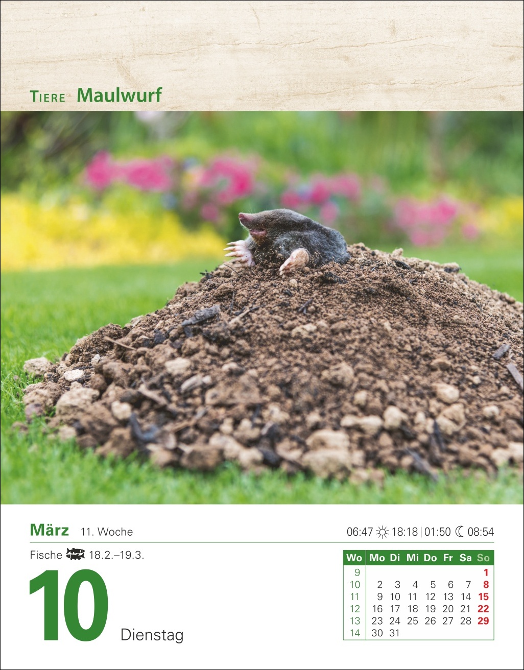 9783840035500_innenansicht_03 9783840035500_innenansicht_03.jpg