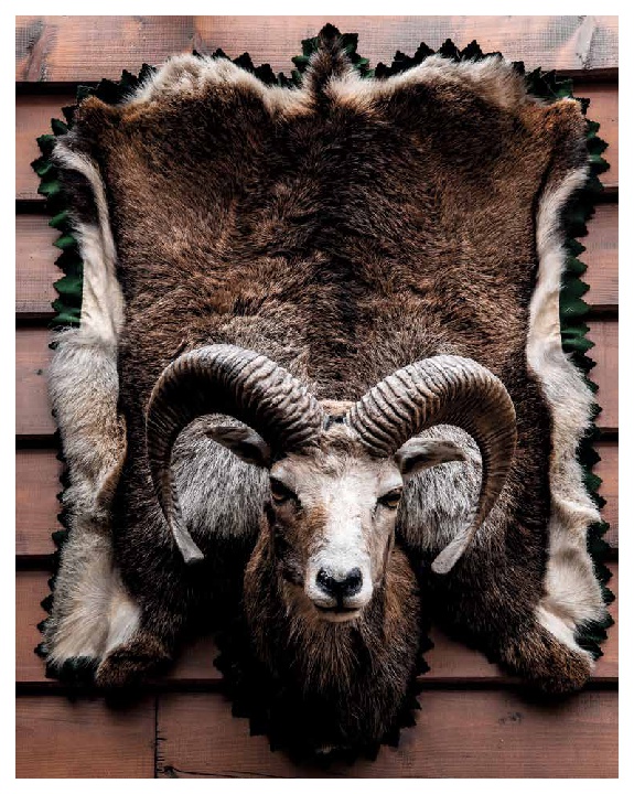 9783966642989_innenansicht_12 9783966642989_innenansicht_12.jpg