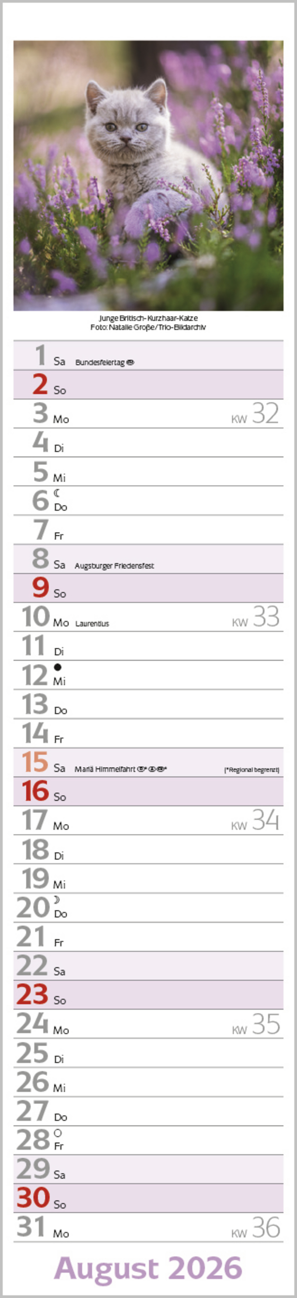 9783731886891_innenansicht_08 9783731886891_innenansicht_08.jpg