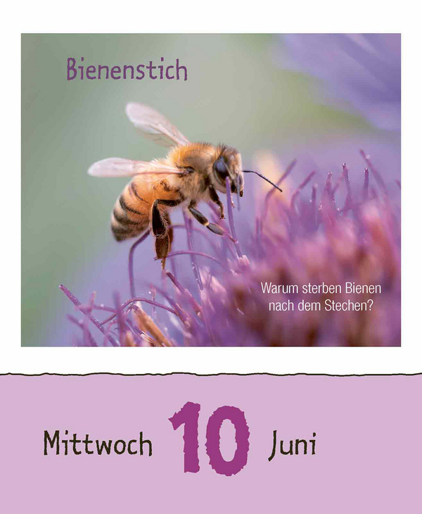 9783731887676_innenansicht_07.jpg