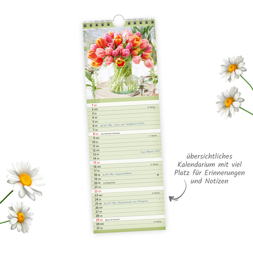 9783988024381_innenansicht_02 9783988024381_innenansicht_02.jpg