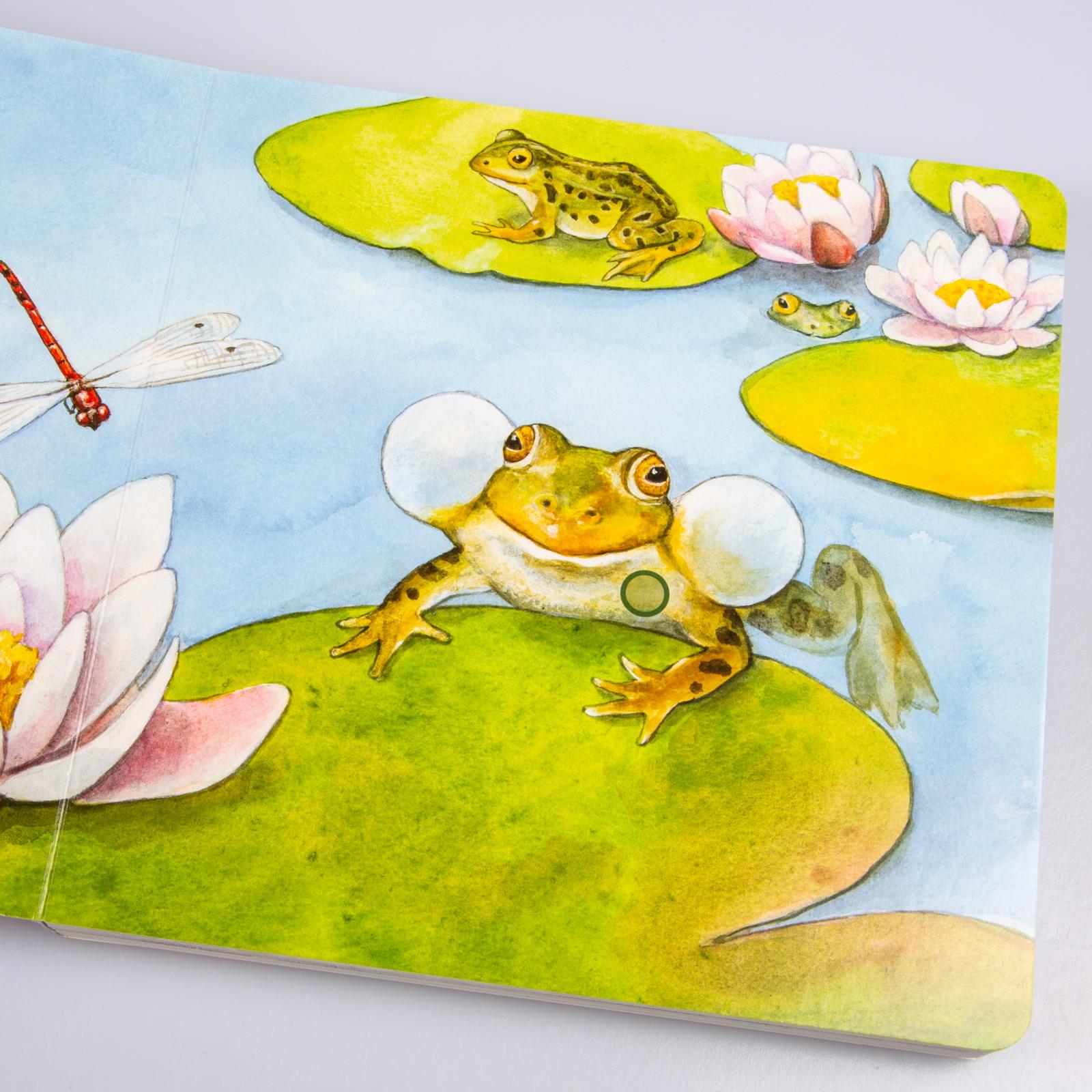 9783551250049_innenansicht_04 9783551250049_innenansicht_04.jpg