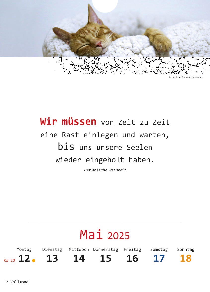 9783948276348_innenansicht_08.jpg