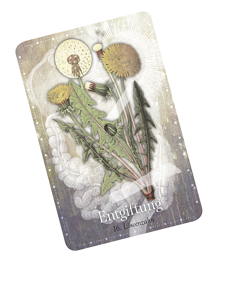 9783426659274_innenansicht_06 9783426659274_innenansicht_06.jpg