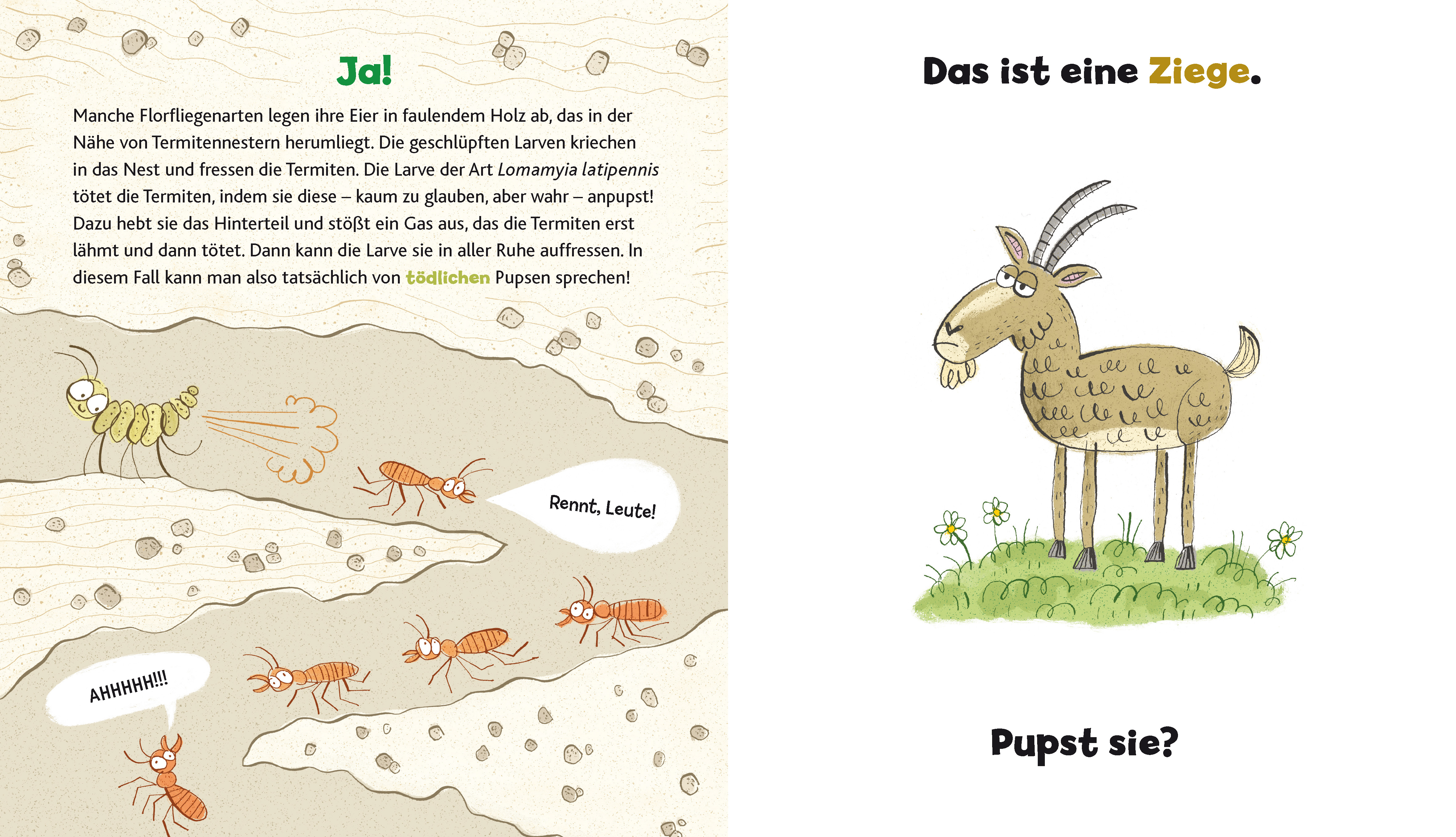 9783737357036_innenansicht_01.jpg