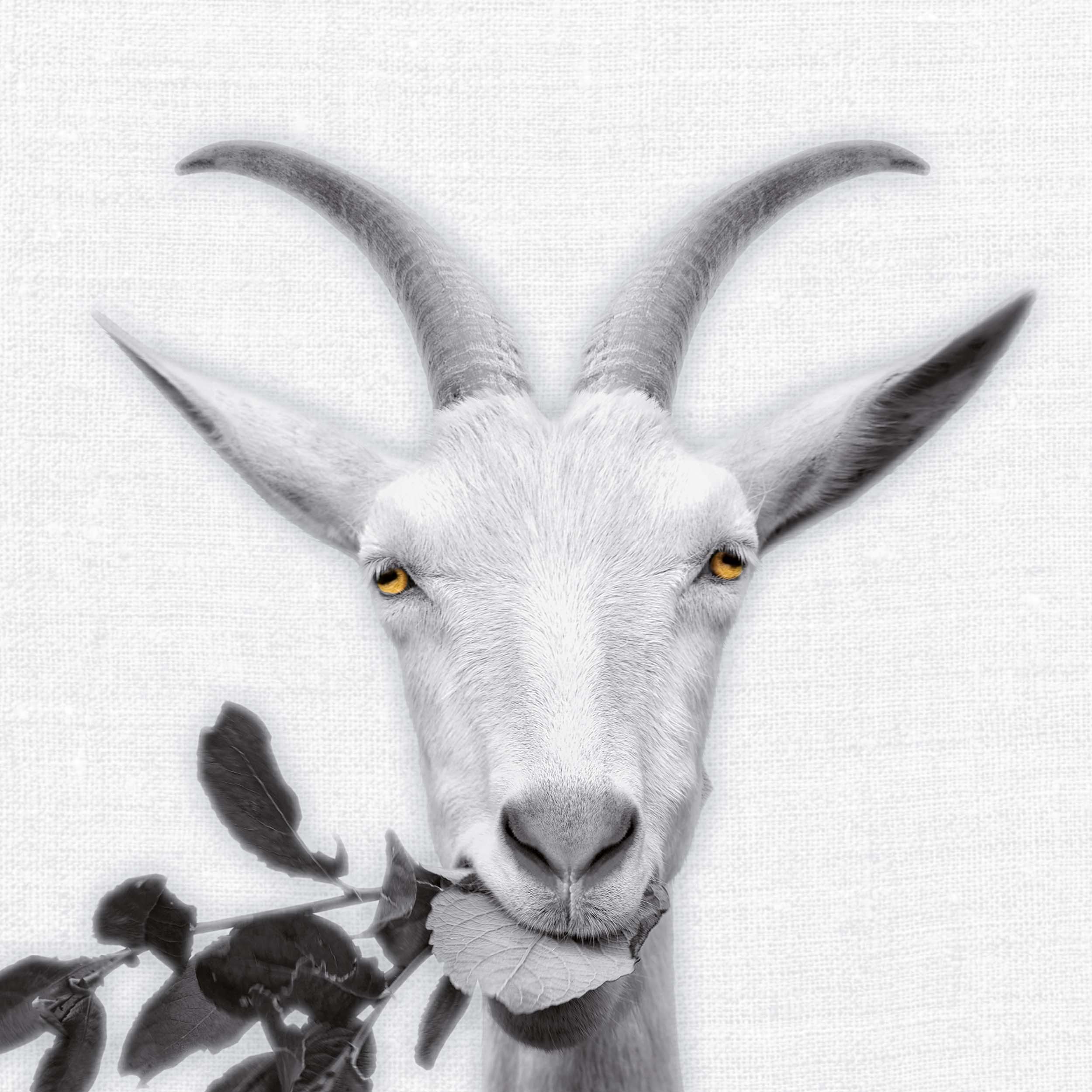 9783959295284_innenansicht_11 9783959295284_innenansicht_11.jpg