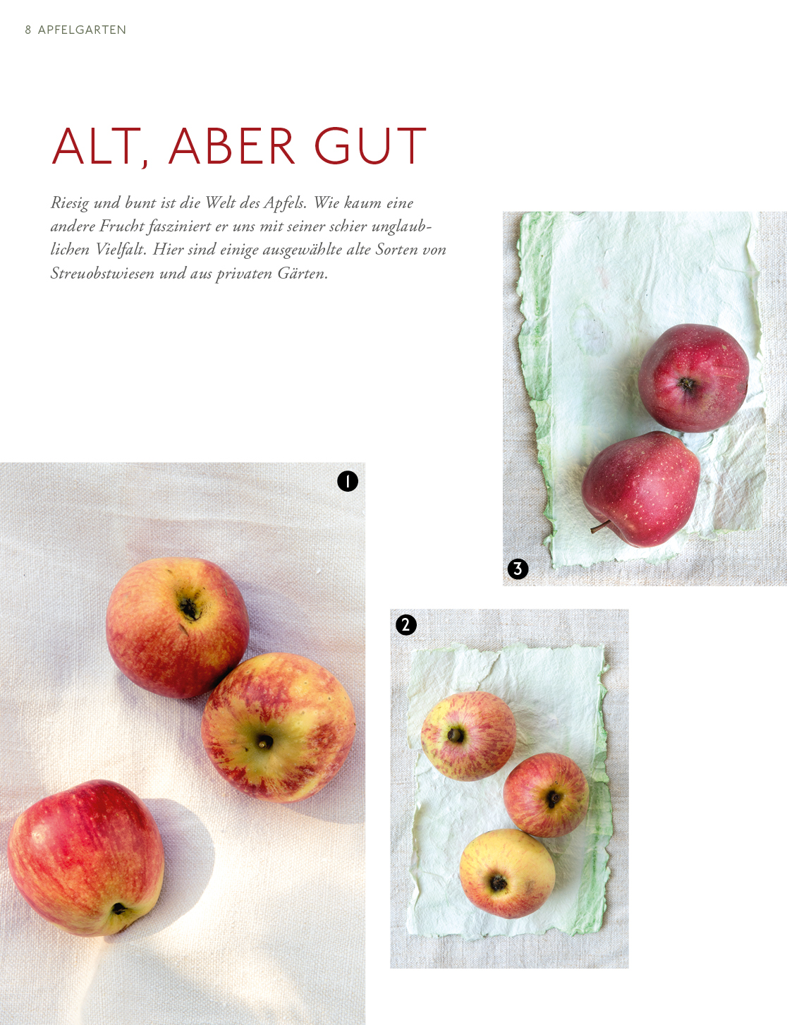 9783747203446_innenansicht_05.jpg