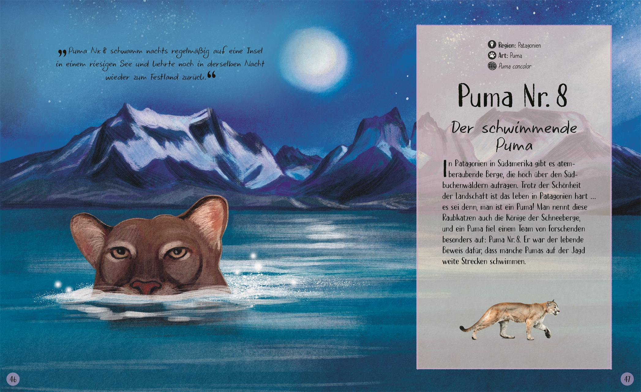 9783831051090_innenansicht_07 9783831051090_innenansicht_07.jpg