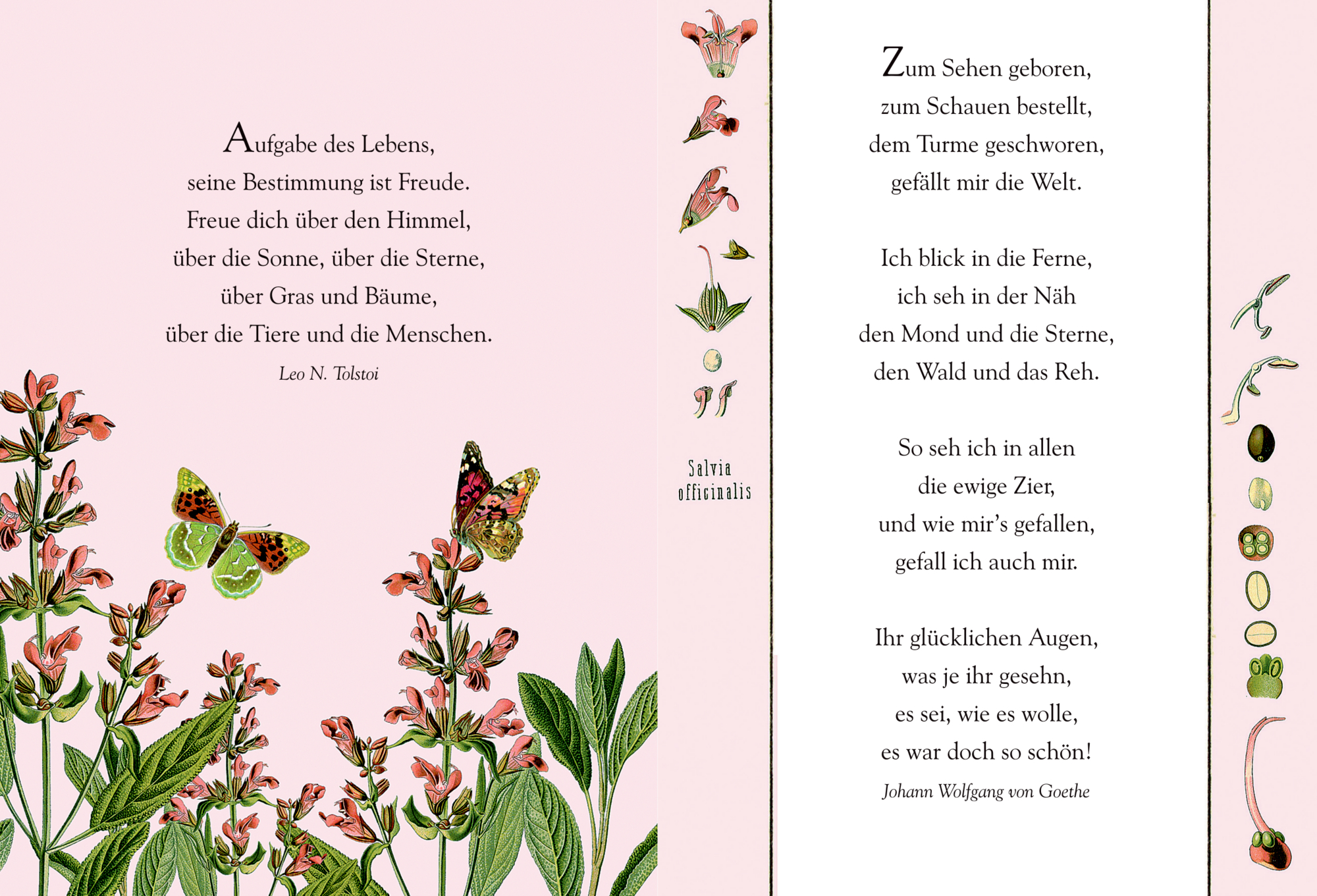 9783649648925_innenansicht_02 9783649648925_innenansicht_02.jpg