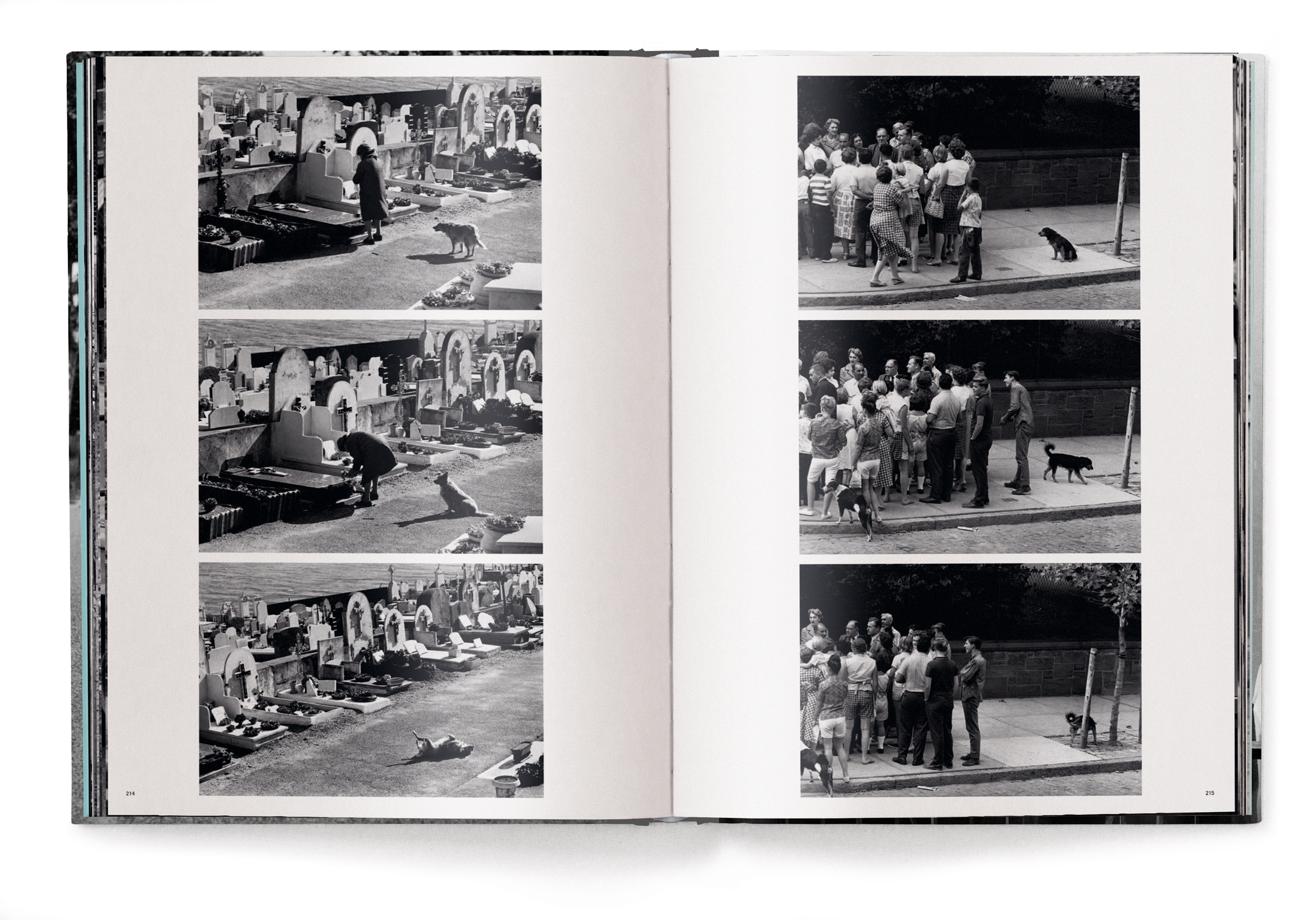 9783961716326_innenansicht_12 9783961716326_innenansicht_12.jpg