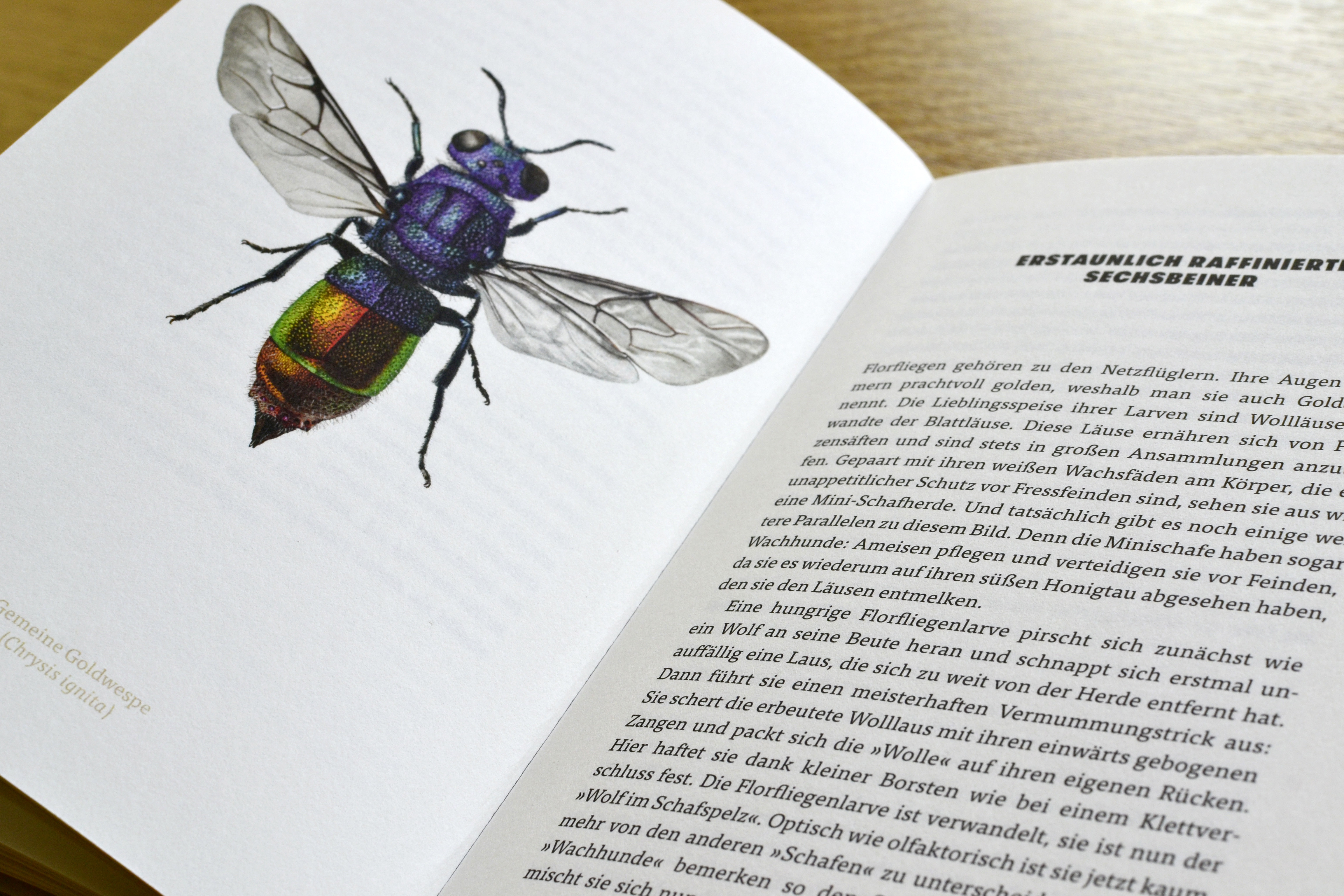 9783847900658_innenansicht_05.jpg 9783847900658_innenansicht_05.jpg