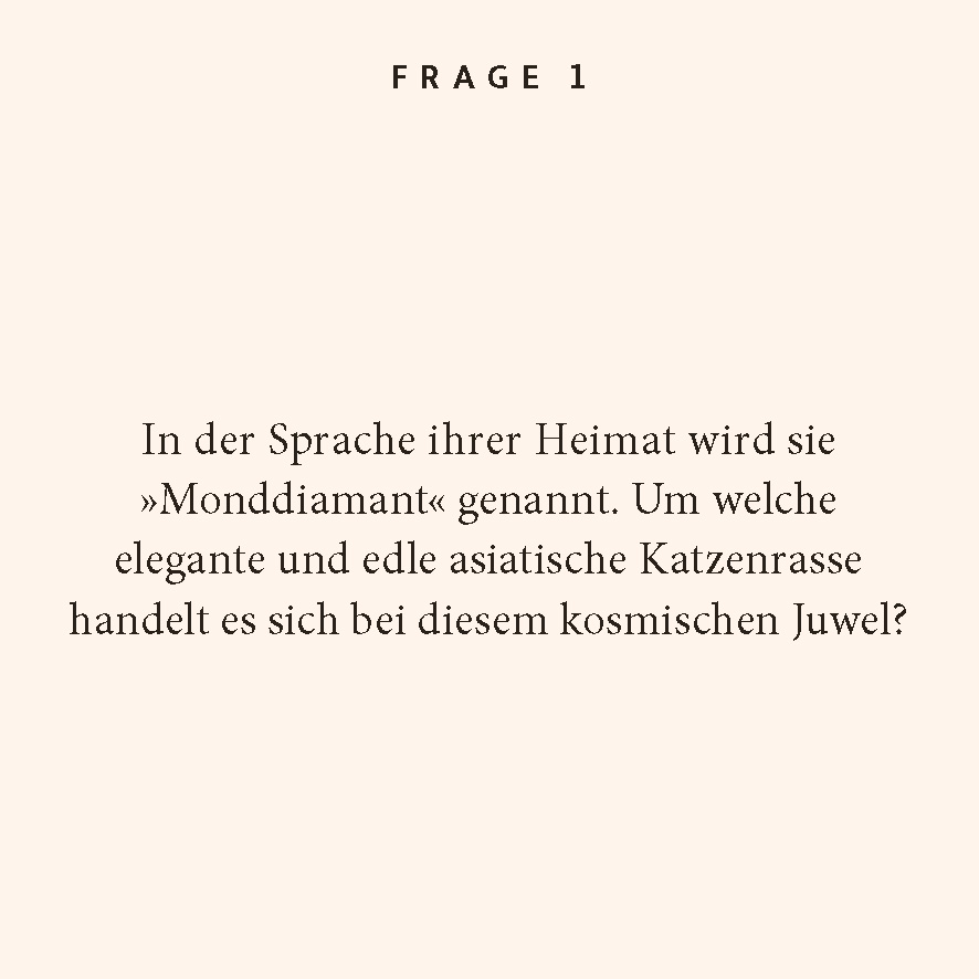 9783899784534_innenansicht_01.jpg
