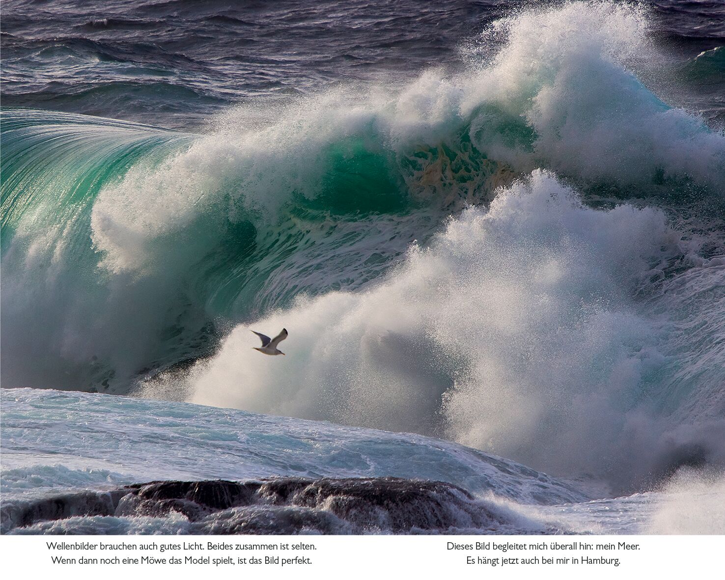 9783453281714_innenansicht_03 9783453281714_innenansicht_03.jpg