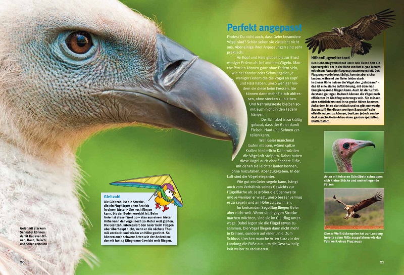 9783866595002_innenansicht_02 9783866595002_innenansicht_02.jpg