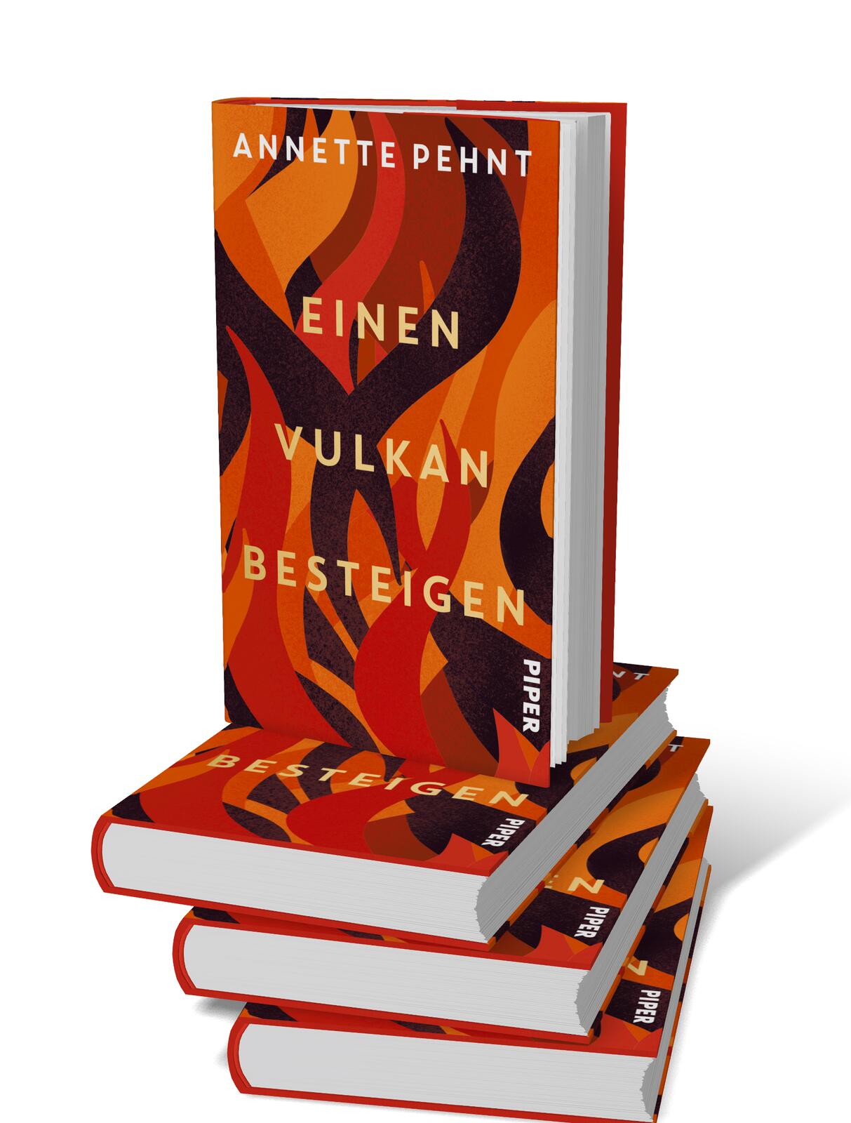 9783492074049_innenansicht_04.jpg