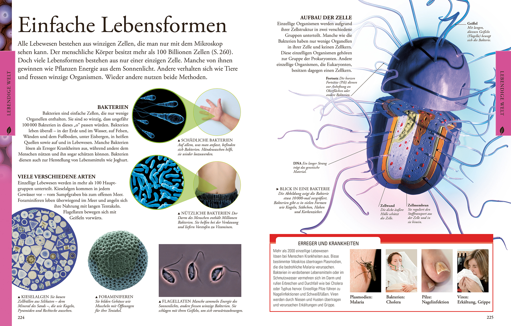 9783831028047_innenansicht_05 9783831028047_innenansicht_05.jpg