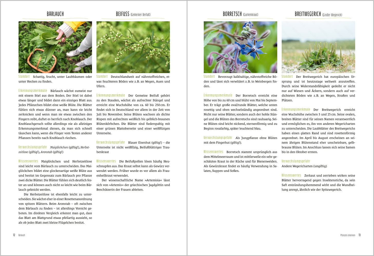 9783987260681_innenansicht_03 9783987260681_innenansicht_03.jpg