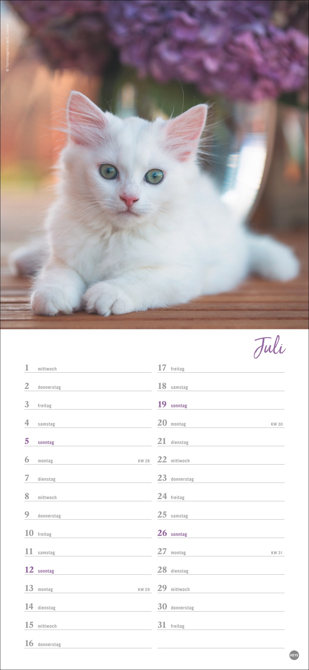 9783756409778_innenansicht_07 9783756409778_innenansicht_07.jpg