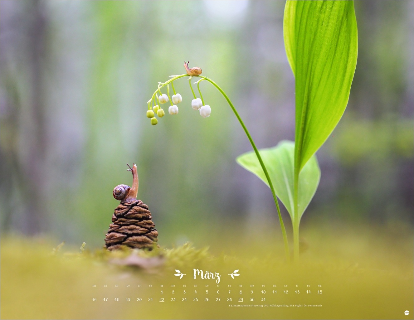 9783756411672_innenansicht_03 9783756411672_innenansicht_03.jpg