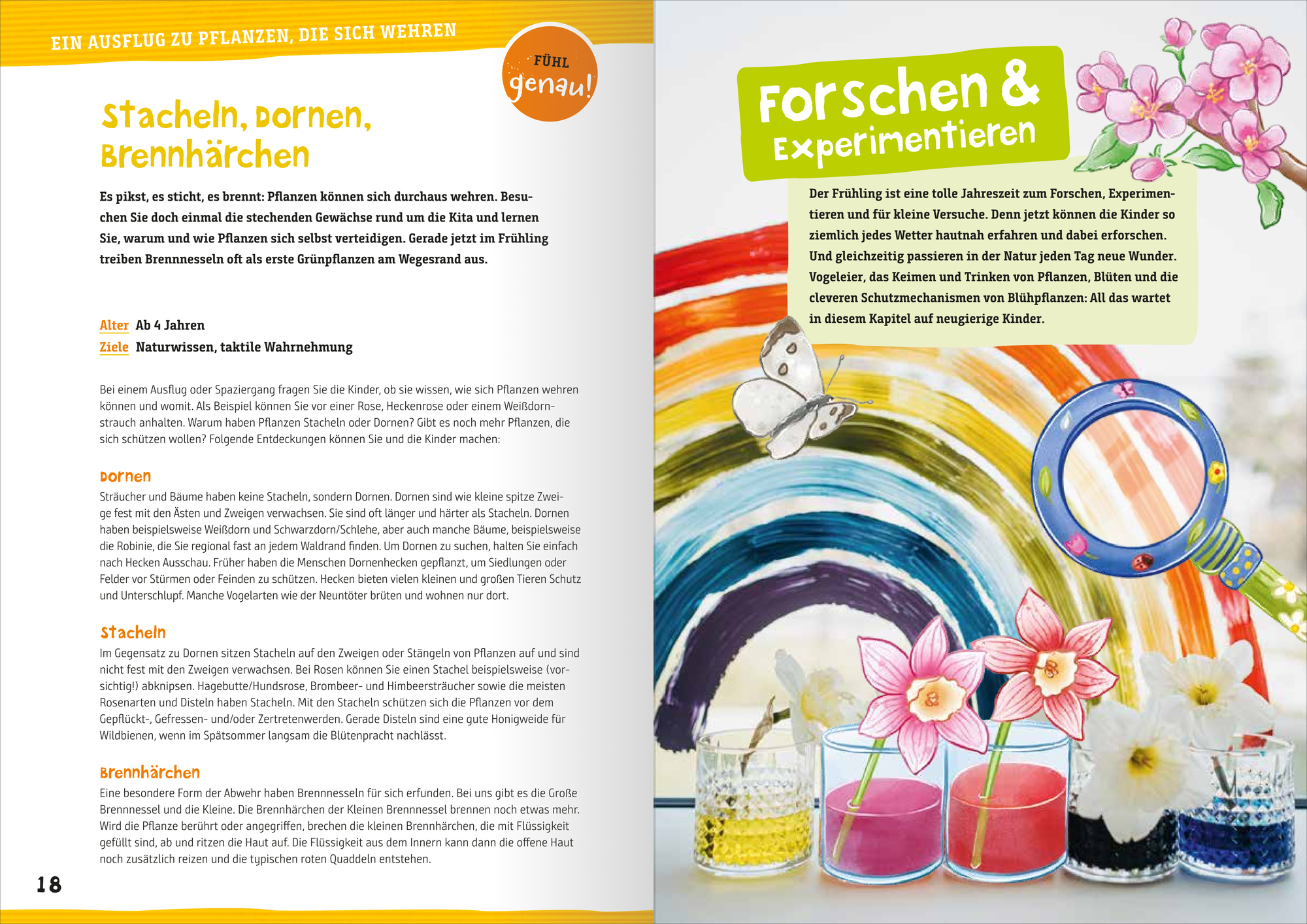 9783780652096_innenansicht_03 9783780652096_innenansicht_03.jpg