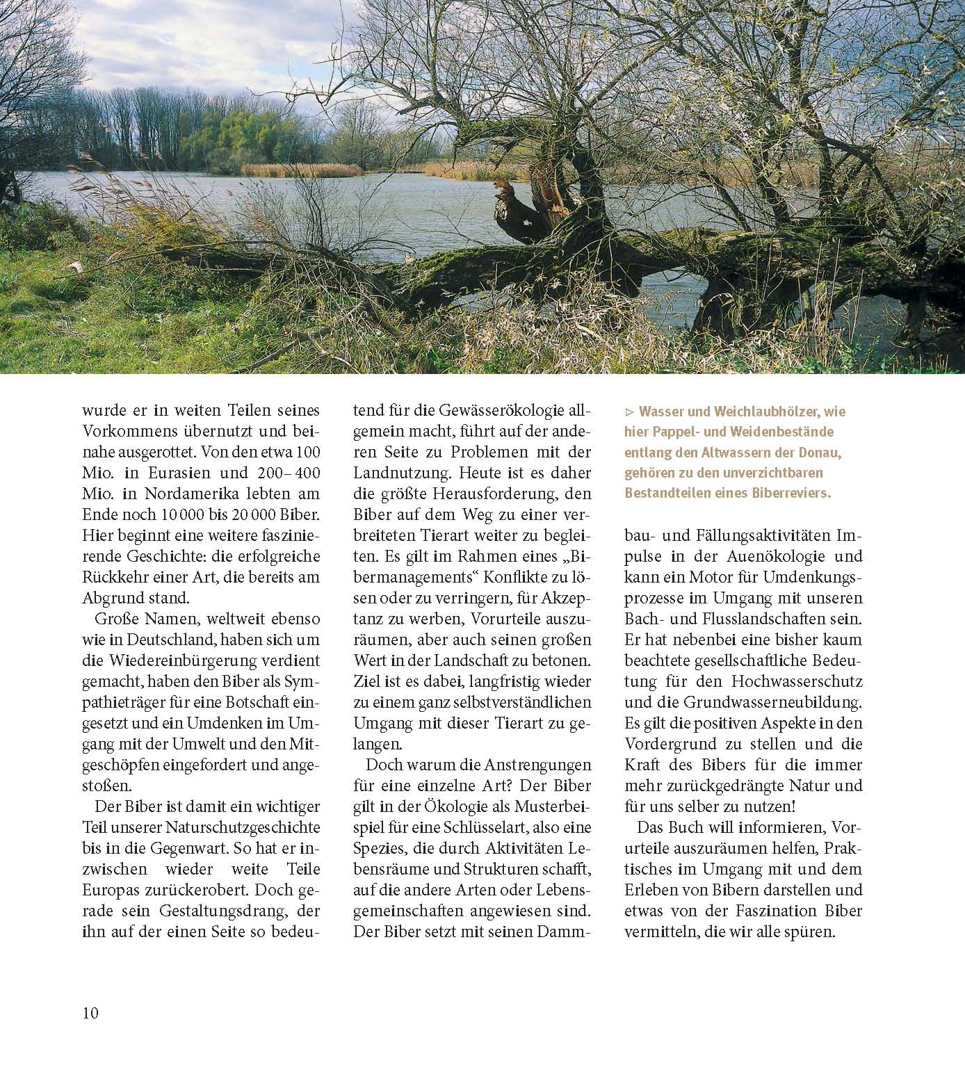 9783955877934_innenansicht_03 9783955877934_innenansicht_03.jpg