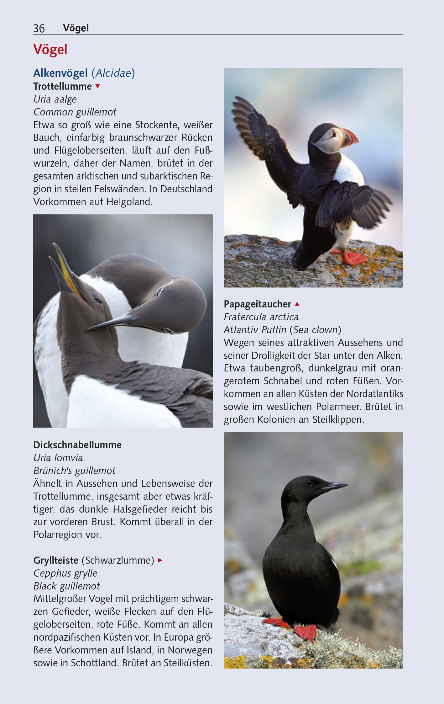 9783897946378_innenansicht_15 9783897946378_innenansicht_15.jpg