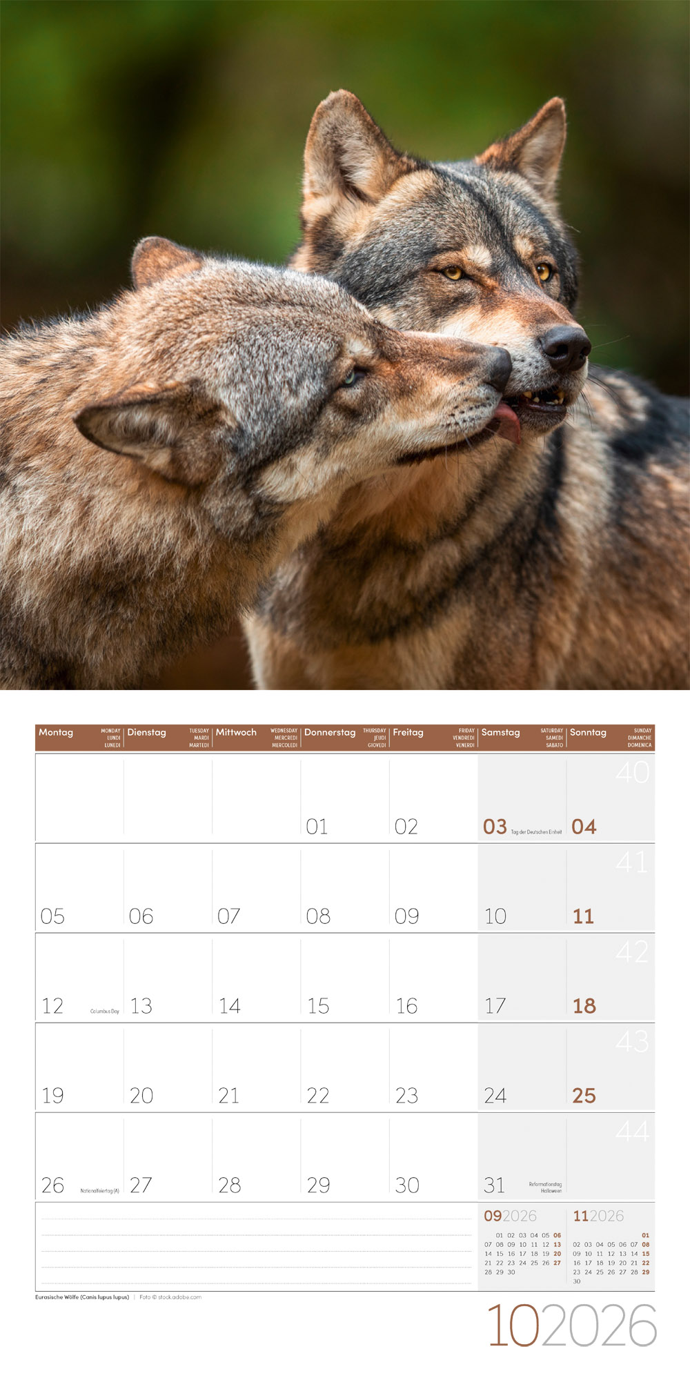 9783838446264_innenansicht_10 9783838446264_innenansicht_10.jpg