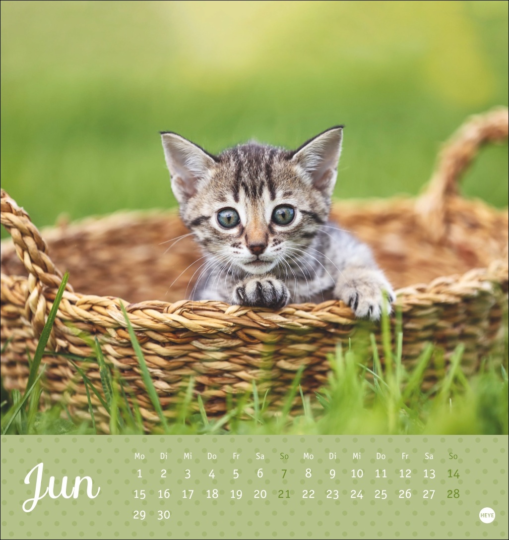 9783756410460_innenansicht_06 9783756410460_innenansicht_06.jpg