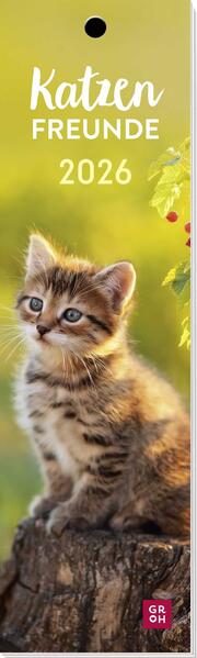 4036442013182 4036442013182