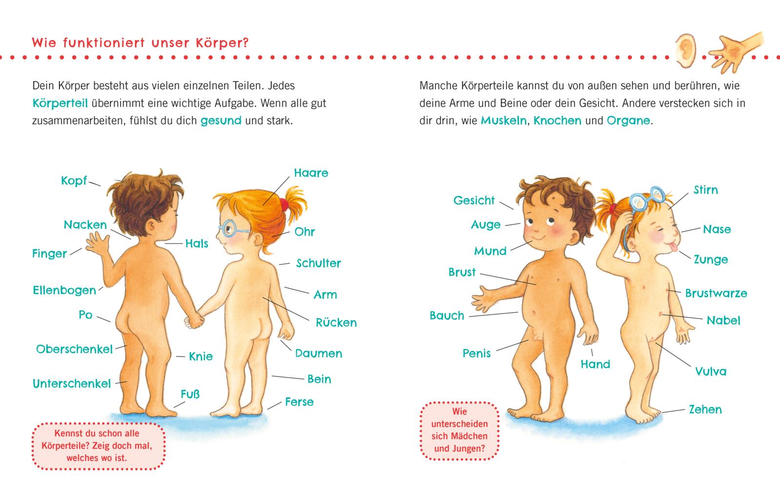 9783551036155_innenansicht_02 9783551036155_innenansicht_02.jpg