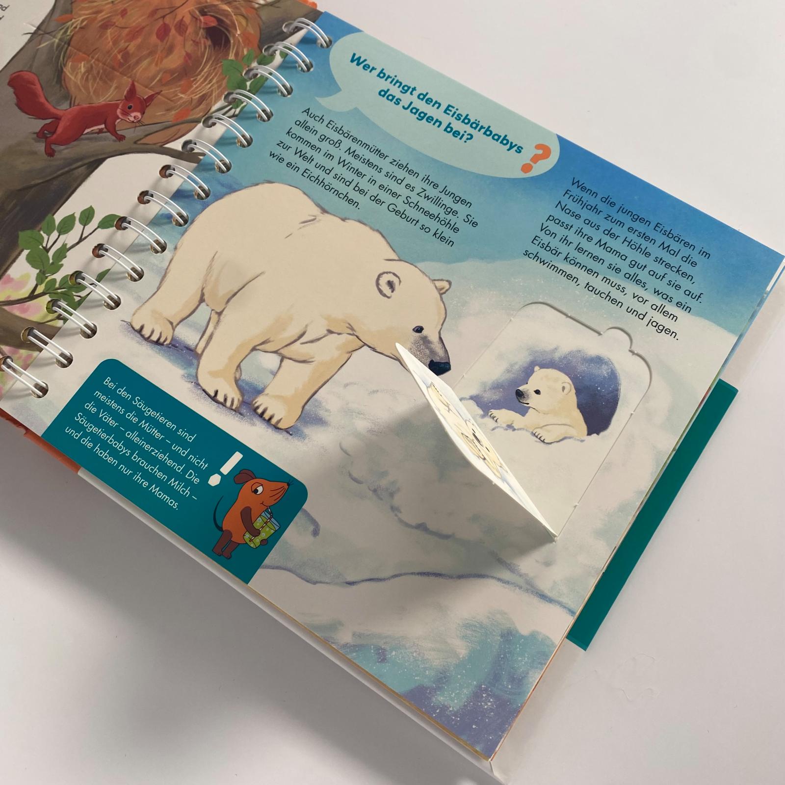 9783551253651_weiterecover_03 9783551253651_weiterecover_03.jpg