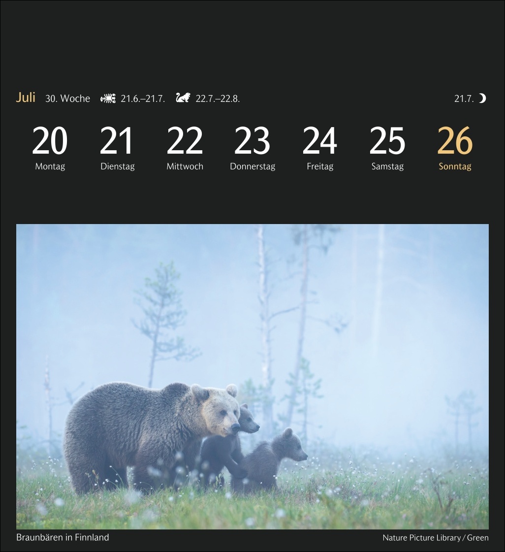 9783840036767_innenansicht_11 9783840036767_innenansicht_11.jpg