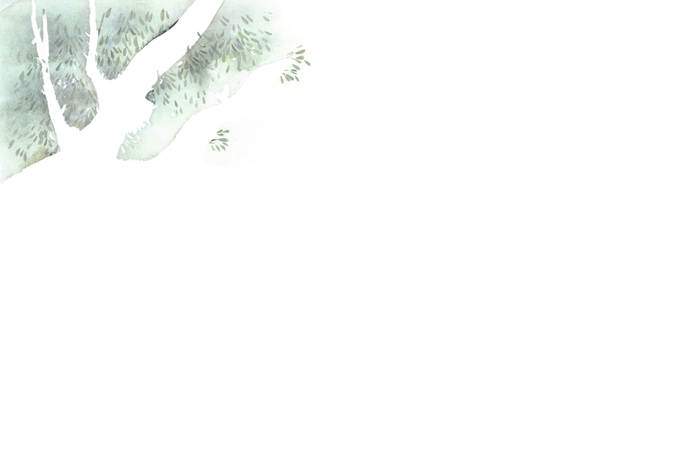 9783959390781_innenansicht_02 9783959390781_innenansicht_02.jpg