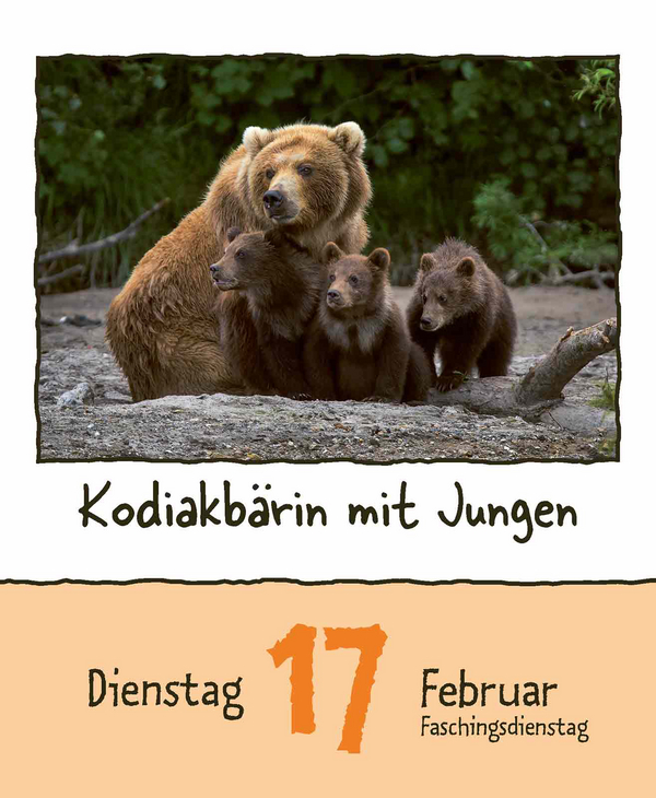 9783731889182_innenansicht_03.jpg