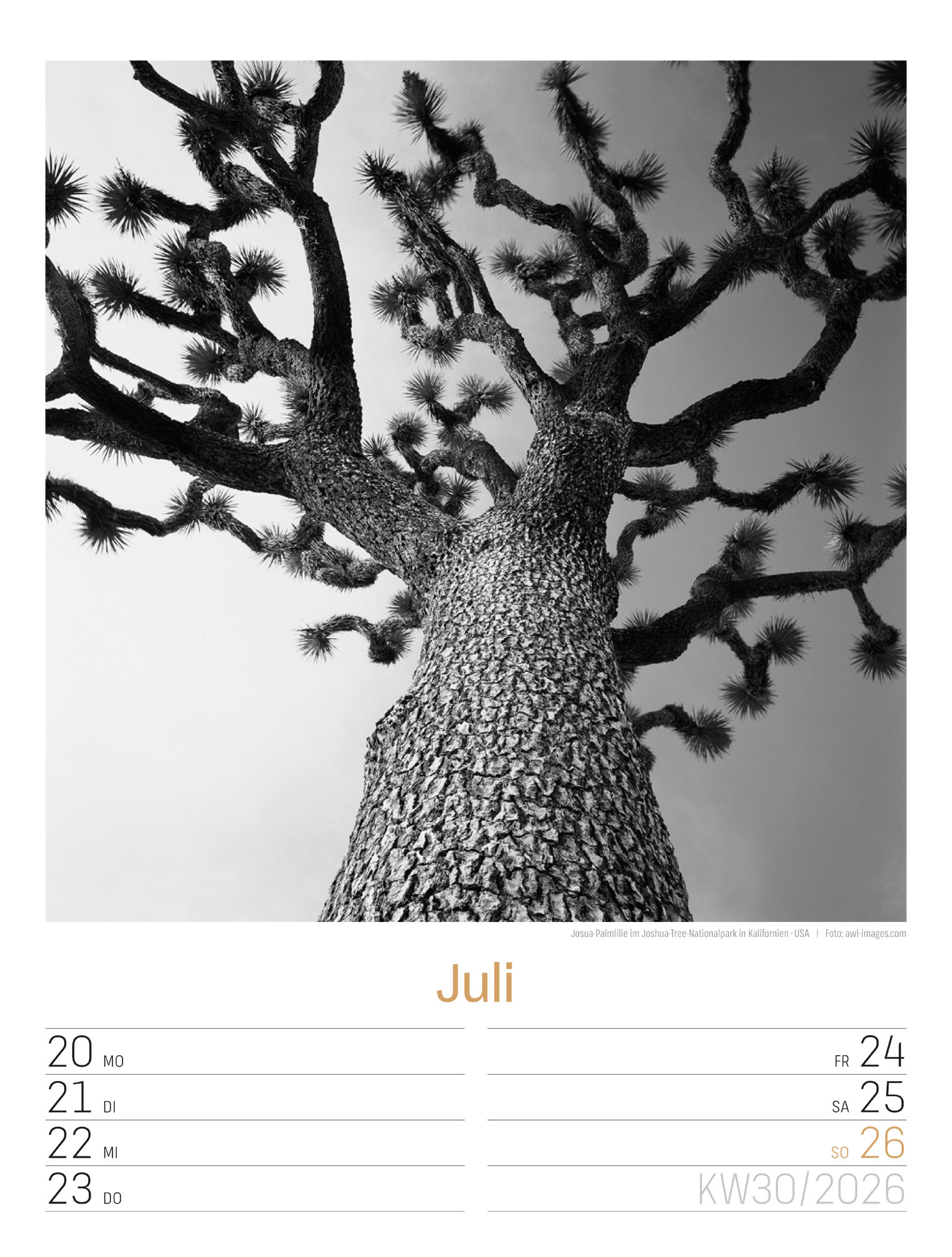 9783838436265_innenansicht_33 9783838436265_innenansicht_33.jpg