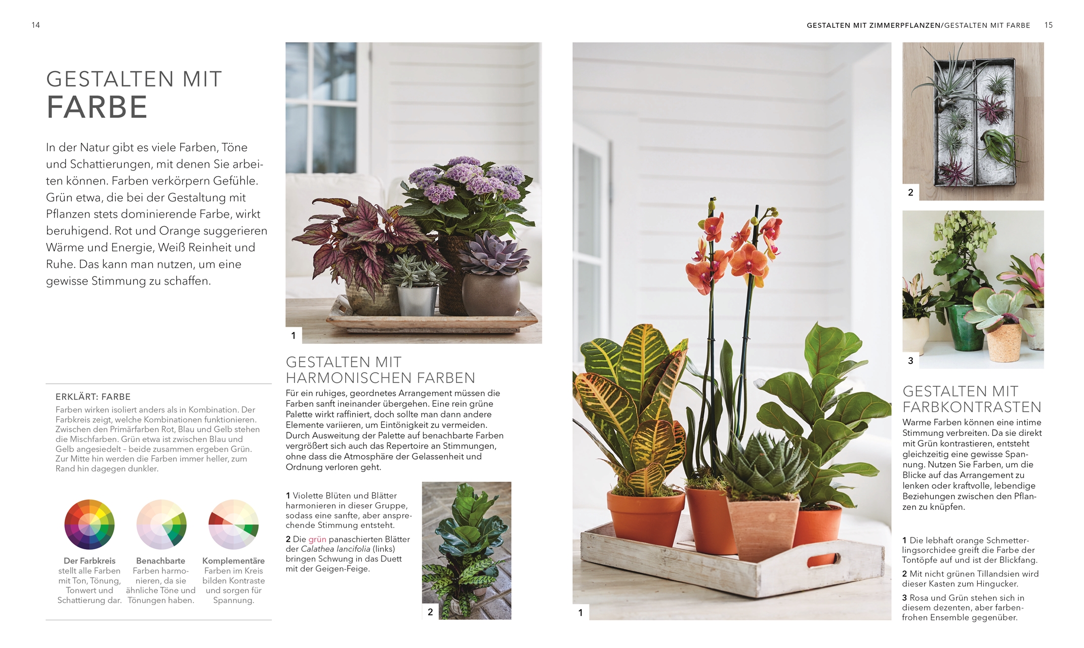 9783831049264_innenansicht_03 9783831049264_innenansicht_03.jpg