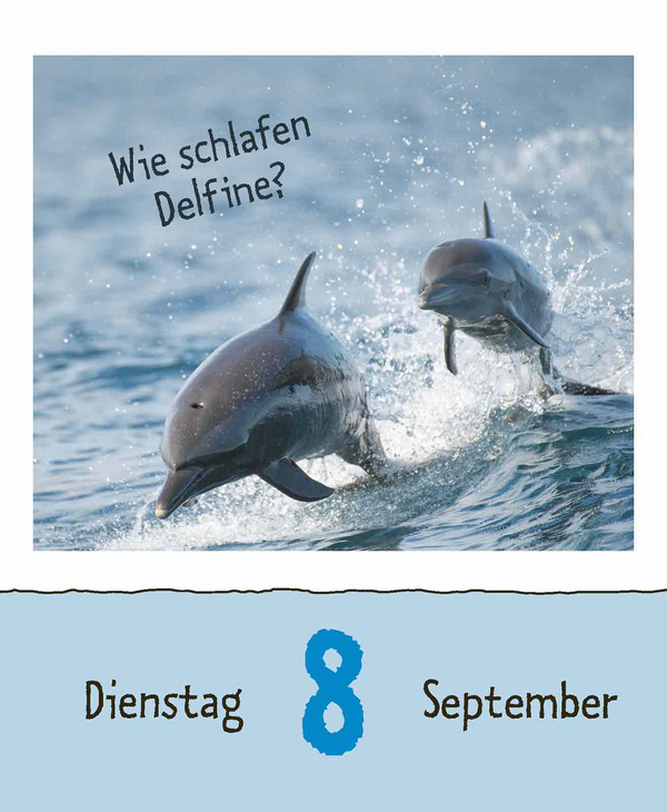 9783731889199_innenansicht_13.jpg