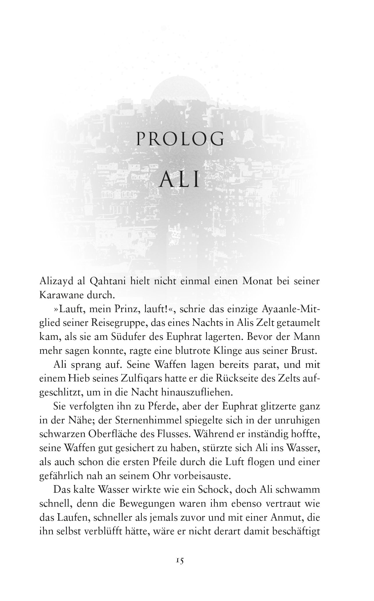 9783833241772_innenansicht_05.jpg