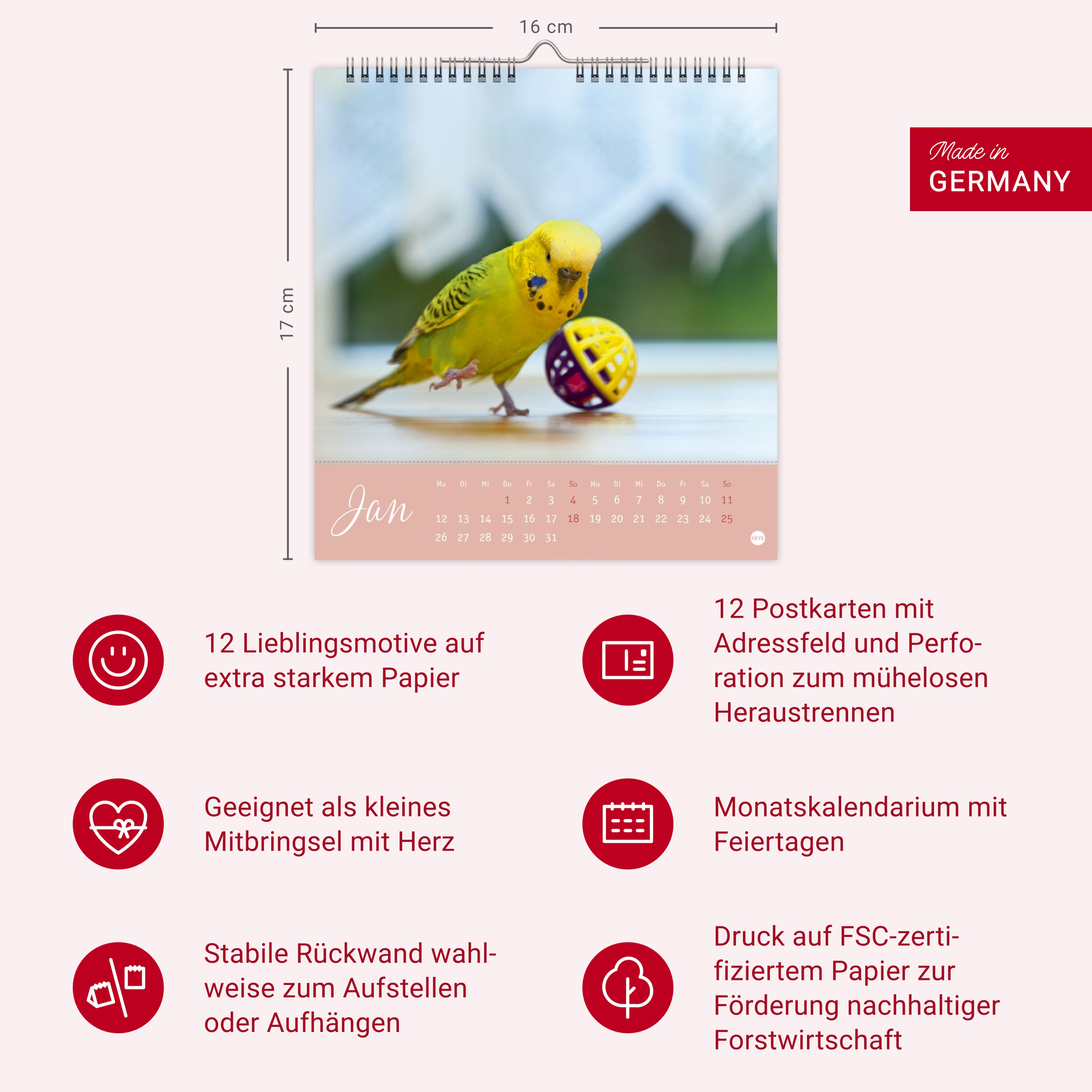 9783756410019_innenansicht_14.jpg