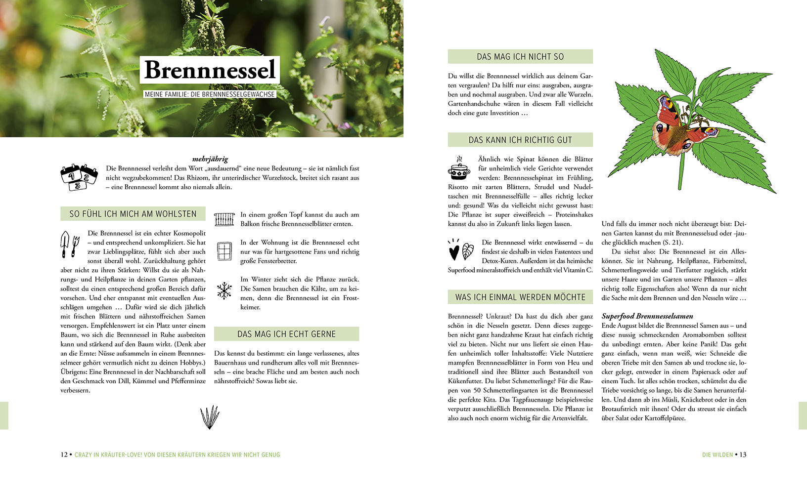 9783706626880_innenansicht_06 9783706626880_innenansicht_06.jpg