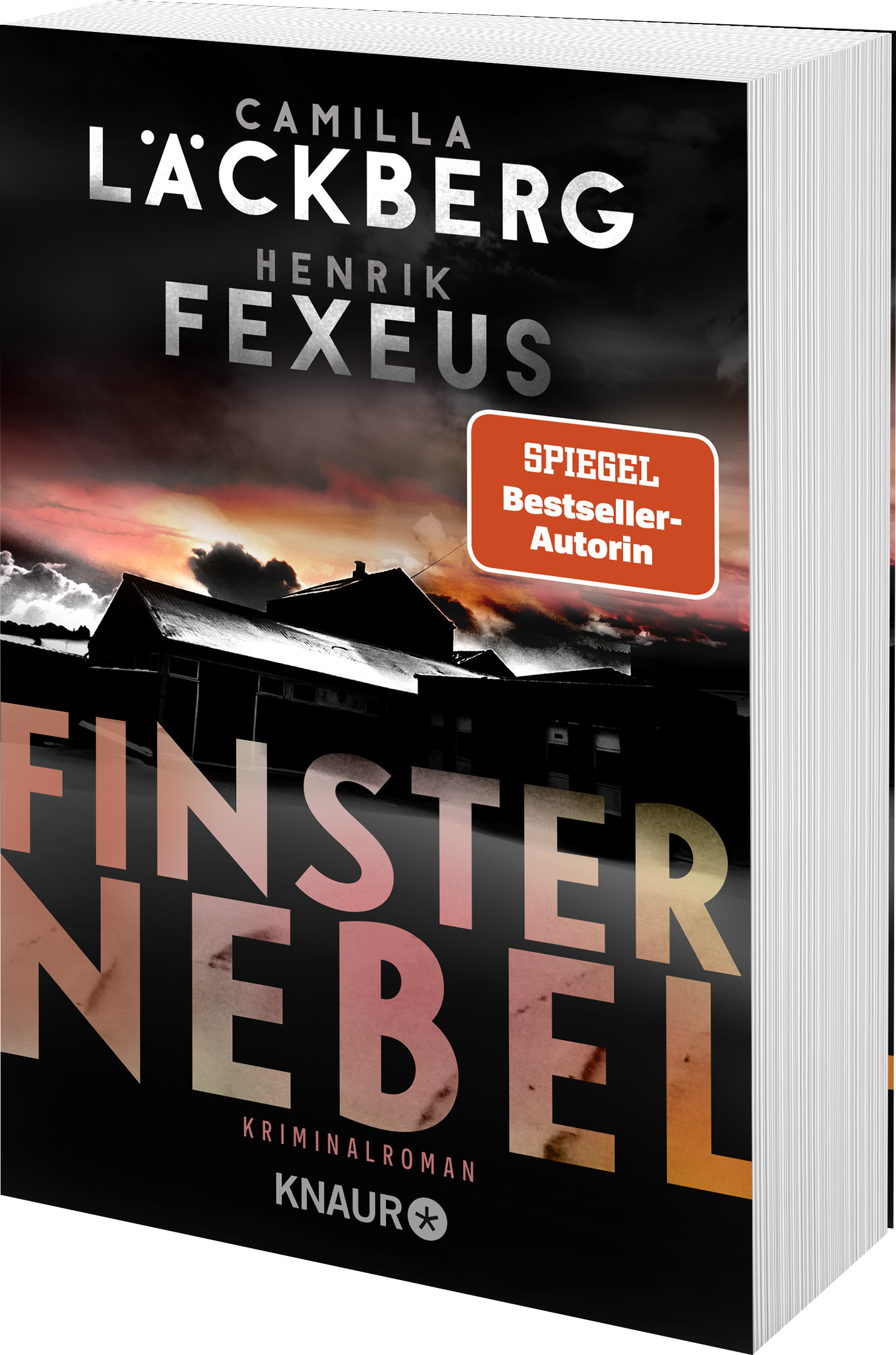 9783426527931_weiterecover_01 9783426527931_weiterecover_01.png