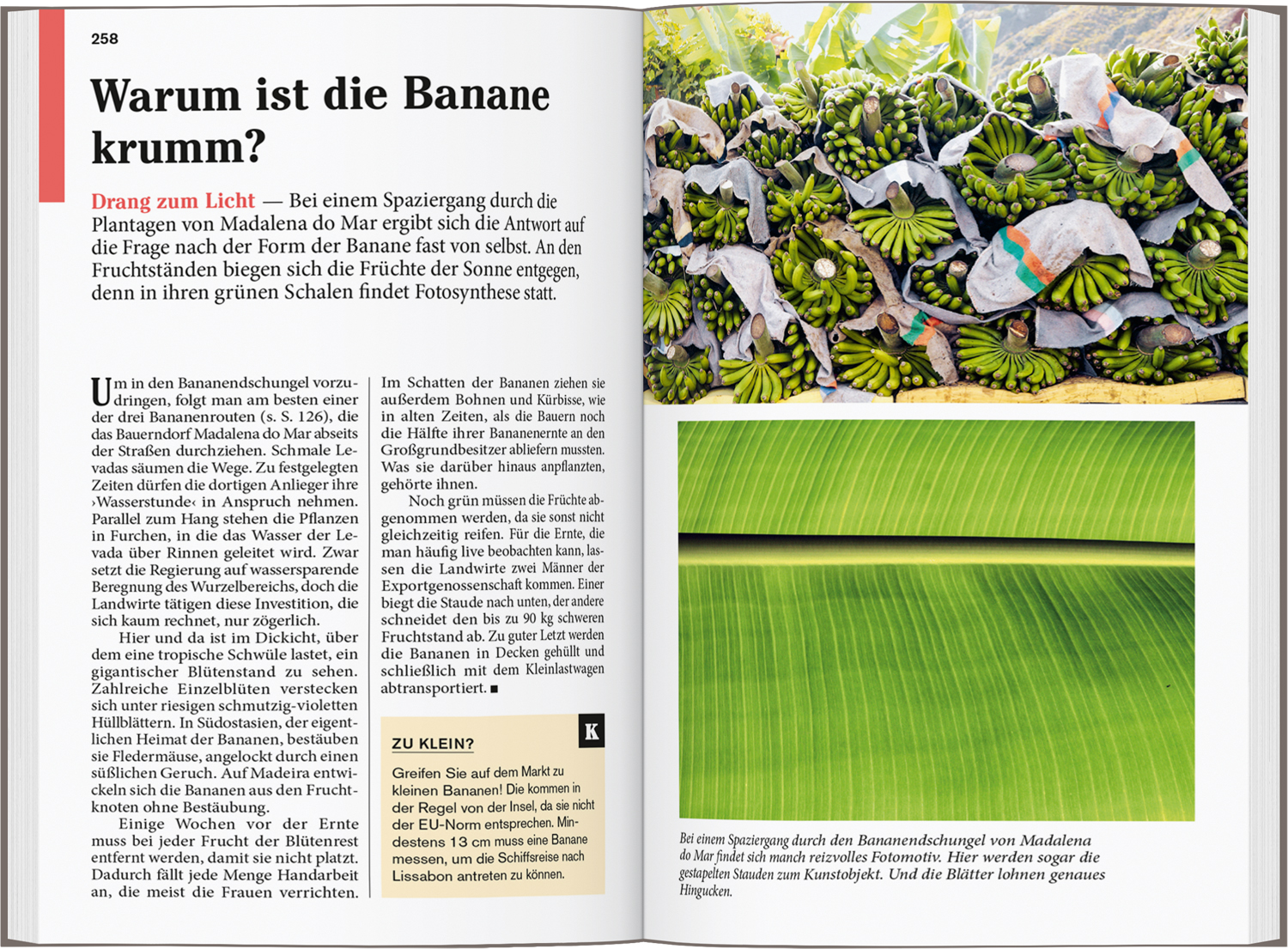9783616007946_innenansicht_07.jpg