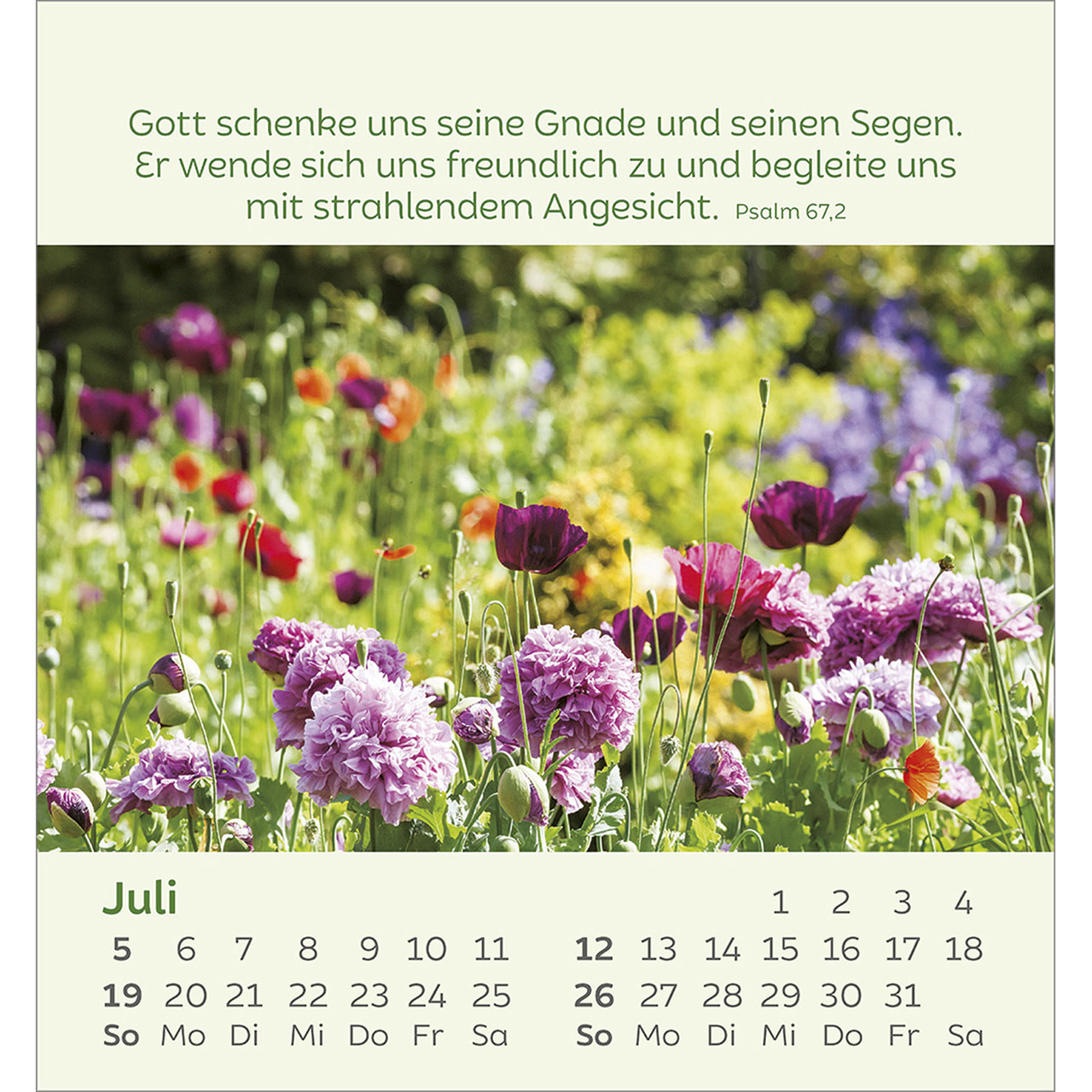 9783754847060_innenansicht_07.jpg