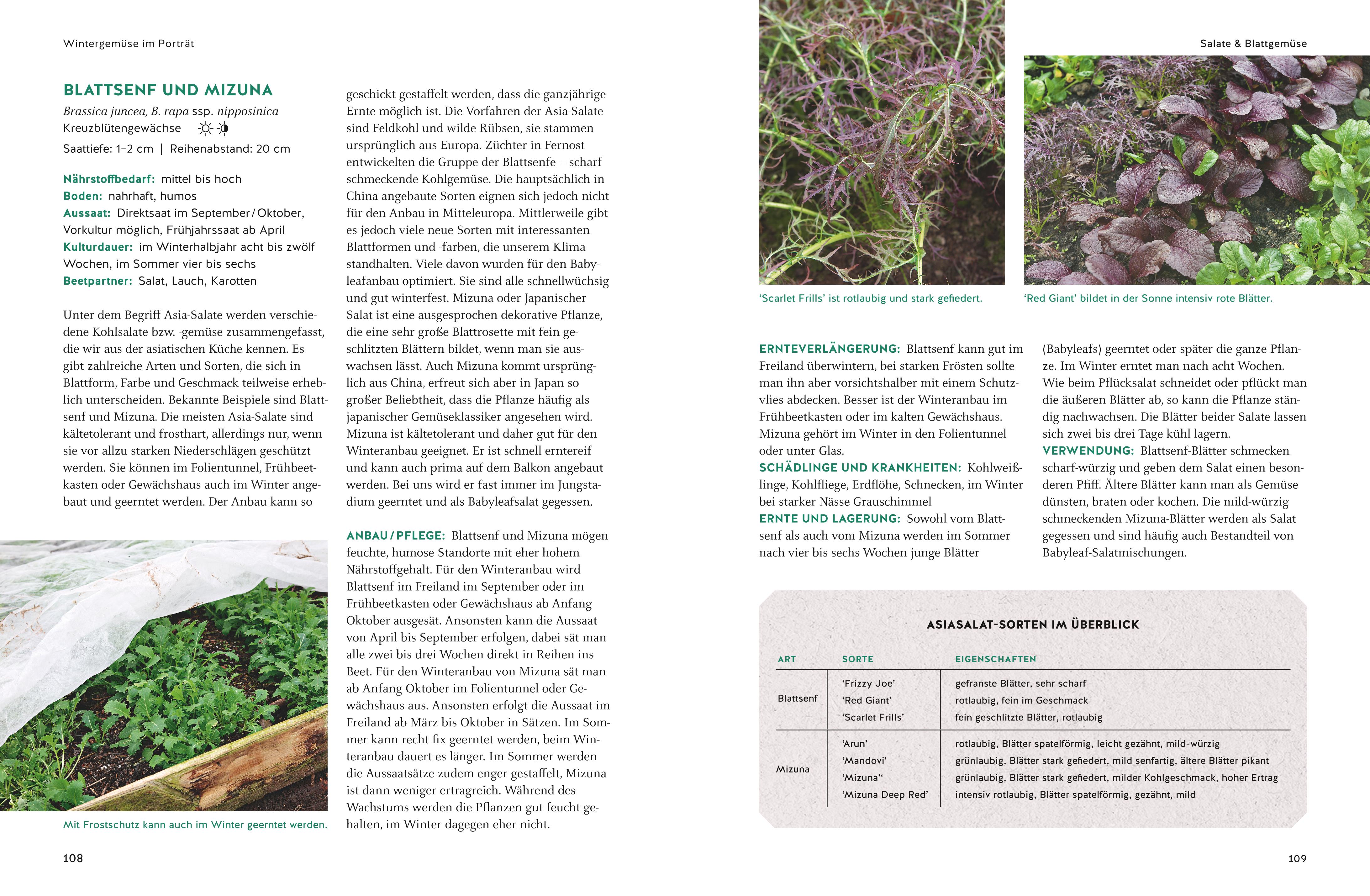 9783833867057_innenansicht_06 9783833867057_innenansicht_06.jpg